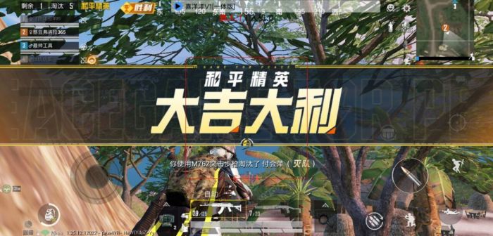 免费挂锁头透视锁血和平精英 - 自瞄整合增强包